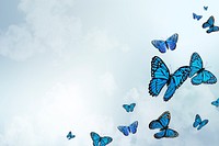 Blue sky butterfly background, watercolor illustrations