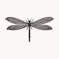 Dragonfly insect illustration clipart vector. Free public domain CC0 image