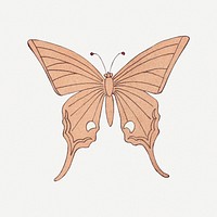 Vintage butterfly, insect, aesthetic decoration