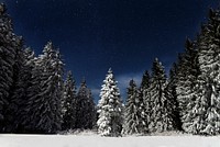 Snowy woods. Original public domain image from <a href="https://commons.wikimedia.org/wiki/File:Paul_itkin_2015-11-18_(Unsplash).jpg" target="_blank">Wikimedia Commons</a>