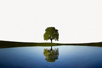 Tree and lake reflection border collage element, nature design psd