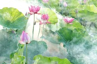 Lotus summer. Original public domain image from Wikimedia Commons