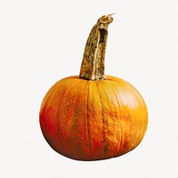 Pumpkin collage element,  autumn fruit psd