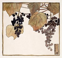 Frost Grape (1915) by <a href="https://www.rawpixel.com/search/Hannah%20Borger%20Overbeck?sort=curated&amp;page=1&amp;topic_group=_my_topics">Hannah Borger Overbeck</a>. Original from The Los Angeles County Museum of Art. Digitally enhanced by rawpixel.