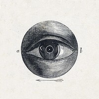 Menselijk oog met een afwijking (1836&ndash;1912) print in high resolution by Isaac Weissenbruch. Original from The Rijksmuseum. Digitally enhanced by rawpixel.