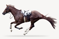 Race horse sticker, animal isolated image psd