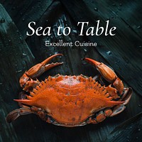 Seafood restaurant Instagram post template, promotional ad  psd