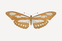 Vintage butterfly, insect, aesthetic decoration