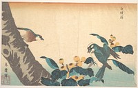 Birds and Flowers print in high resolution by Keisai Eisen (1790-1848). Original from The MET Museum. 