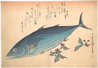 Utagawa Hiroshige (1830) Katsuo Fish with Cherry Buds, from the series Uozukushi (Every Variety of Fish). Original public domain image from the MET museum.