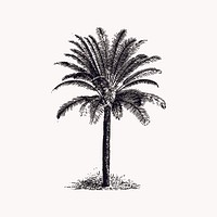 Palm tree collage element vector. Free public domain CC0 image.