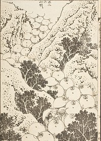 Hokusai's woodblock prints. Original from The Los Angeles County Museum of Art.