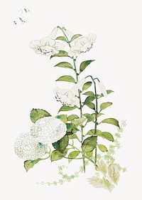 Japanese hydrangea and lilies.   Remastered by rawpixel. 
