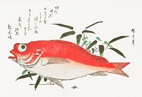 Medetai Fish and Sasaki Bamboo, from the series Uozukushi (Every Variety of Fish) (1840) by Utagawa Hiroshige. Original public domain image from The MET Museum.   Digitally enhanced by rawpixel.