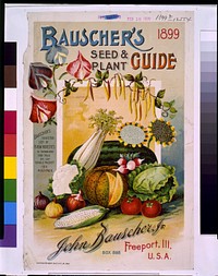 Cover illustration for Bauscher's seed and plant guide, showing various vegetables and fruits (1899). Original from the Library of Congress.