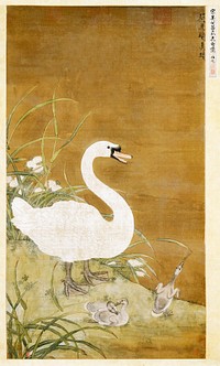 Swan and Cygnets (1080-1104) Japanese illustration. Original public domain image by After Wu Yuanyu from the Minneapolis Institute of Art.   Digitally enhanced by rawpixel.