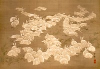 White rabbits (1765 - 1848) vintage Japanese ink and color on silk by Ōoka Unpō. Original public domain image from the Minneapolis Institute of Art.   Digitally enhanced by rawpixel.