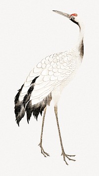 Japanese crane psd.   Remastered by rawpixel. 