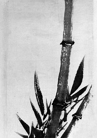 Katsushika Hokusai's bamboo (1760–1849) vintage Japanese painting. Original public domain image from The MET Museum.   Digitally enhanced by rawpixel.