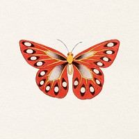 Orange butterfly, vintage insect illustration psd