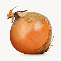 Fresh onion, vegetable design 