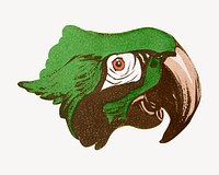 Angelo Jank's parrot, vintage illustration psd.  Remastered by rawpixel