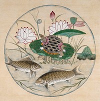 Lotus and fishes (19th century) vintage Japanese painting . Original public domain image from the Minneapolis Institute of Art.   Digitally enhanced by rawpixel.