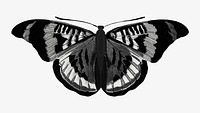 E.A Séguy's vintage butterfly illustration in black and white. Remixed by rawpixel.