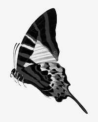 E.A Séguy's vintage butterfly illustration in black and white. Remixed by rawpixel.