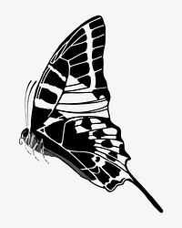 E.A Séguy's vintage butterfly illustration in black and white. Remixed by rawpixel.