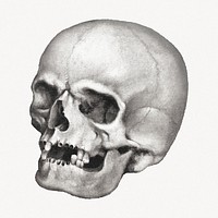 Human skull illustration, Remixed by rawpixel.