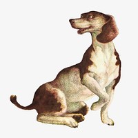 Vintage dog, animal illustration.   Remixed by rawpixel.