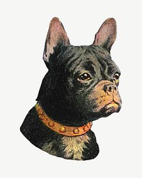 French bulldog dog, vintage animal collage element psd.   Remixed by rawpixel.