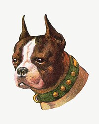 Boston Terrier dog, vintage animal collage element psd.   Remixed by rawpixel.