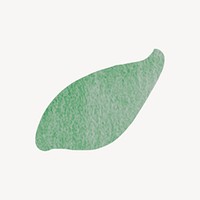 Green leaf, watercolor nature clipart psd