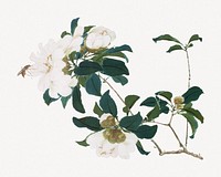 Vintage Chinese flower psd, botanical collage element by Ju Lian. Remixed by rawpixel.