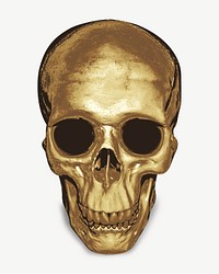 Gold skull collage element, isolated image psd