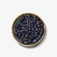 Juniper berries bowl isolated image