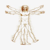 Leonardo da Vinci's Vitruvian Man, vintage illustration. Remastered by rawpixel.