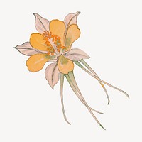 Vintage columbine flower illustration collage element psd. Remixed by rawpixel.