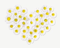 Daisies heart flower collage element psd