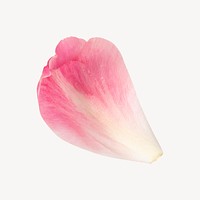 Pink flower petal collage element psd