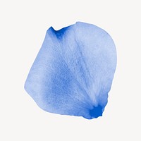 Blue flower petal collage element psd