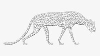 Egypt leopard vintage illustration image