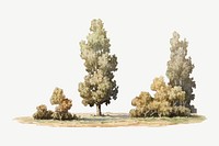 Green trees watercolor illustration element psd. Remixed from vintage artwork by rawpixel.