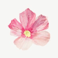 Mallow flower watercolor illustration element psd. Remixed from vintage artwork by rawpixel.