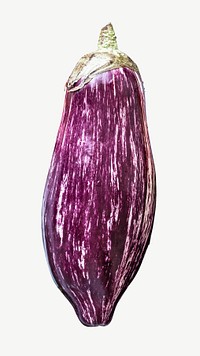 Aubergine eggplant healthy food psd