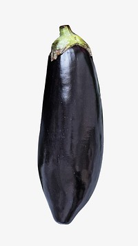 Aubergine eggplant, isolated design