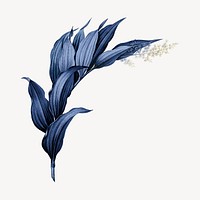 Vintage blue plant, Indian lily flower illustration psd