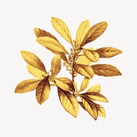 Vintage gold leaf illustration psd